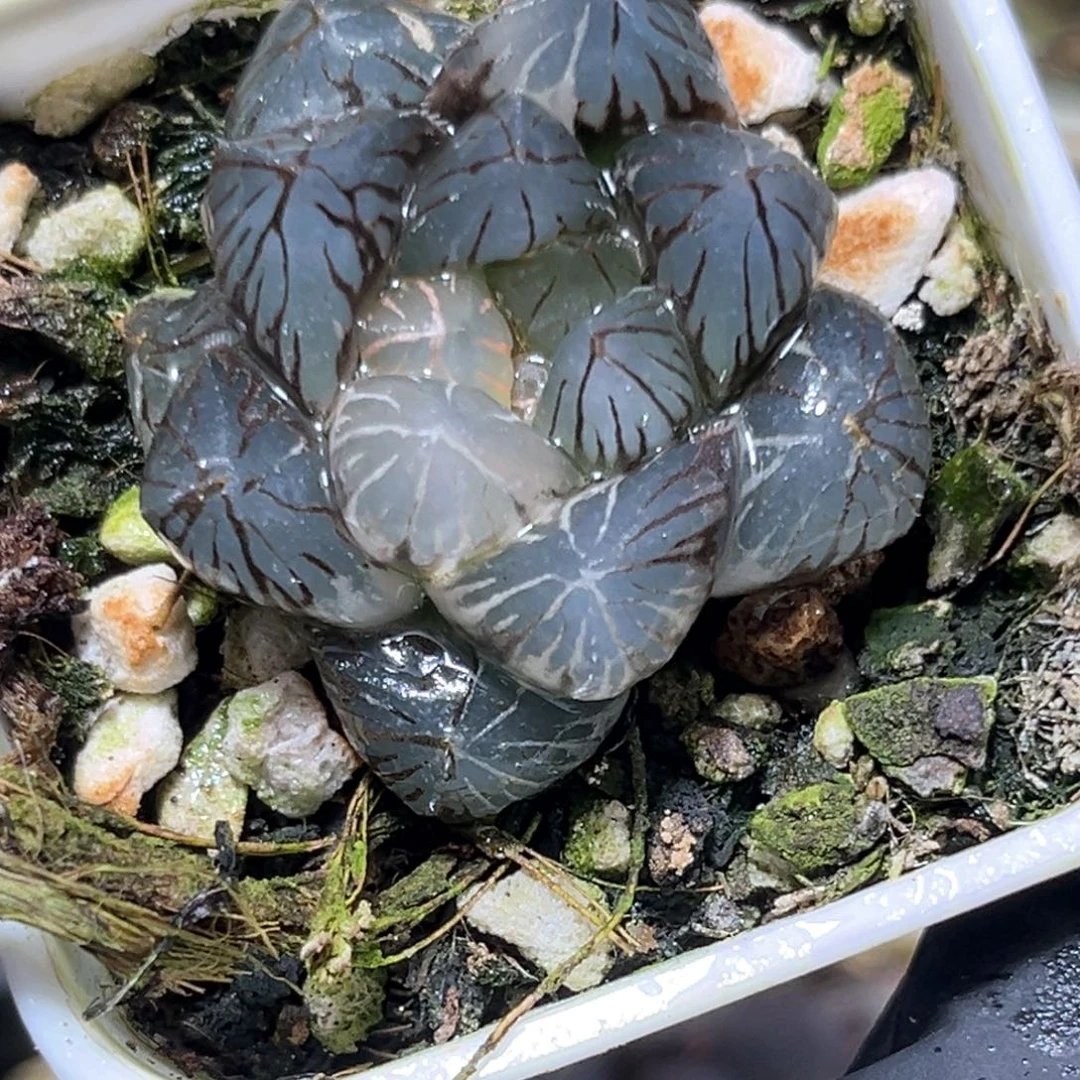 恭喜发财大吉大利3922