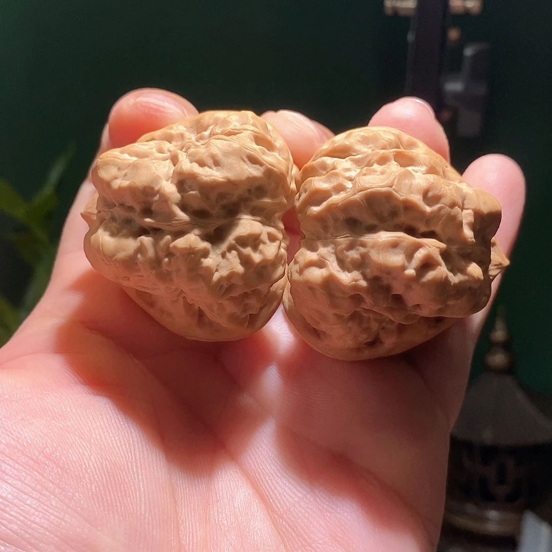 把件文玩核桃43边46肚三角箭毒蛙