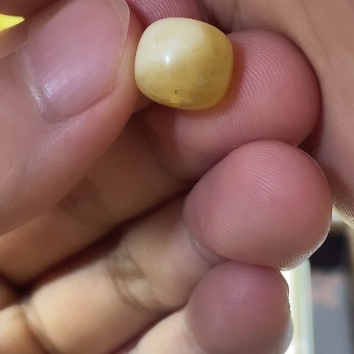 琥珀未镶嵌珠宝奇石11.1mm*9.8mm微瑕单珠