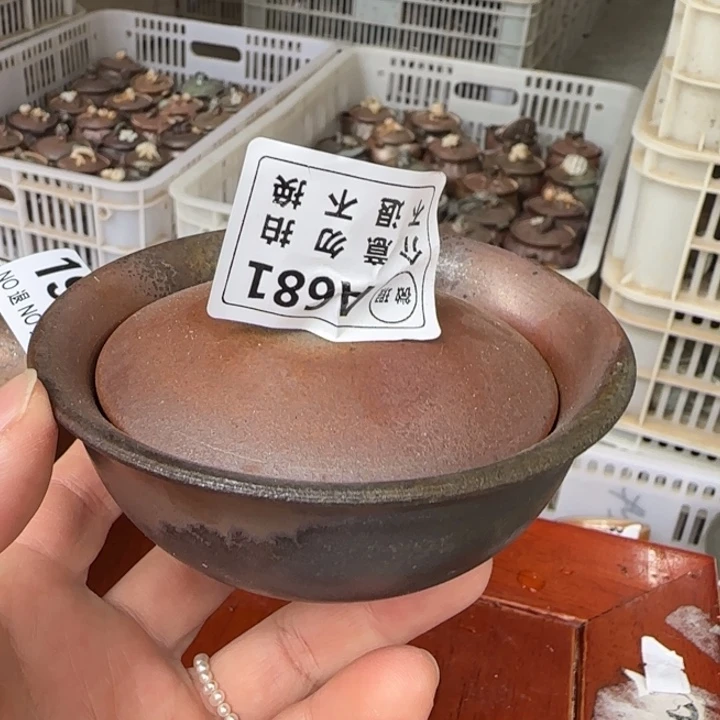 紫砂茶壶 柴烧福利新品多多