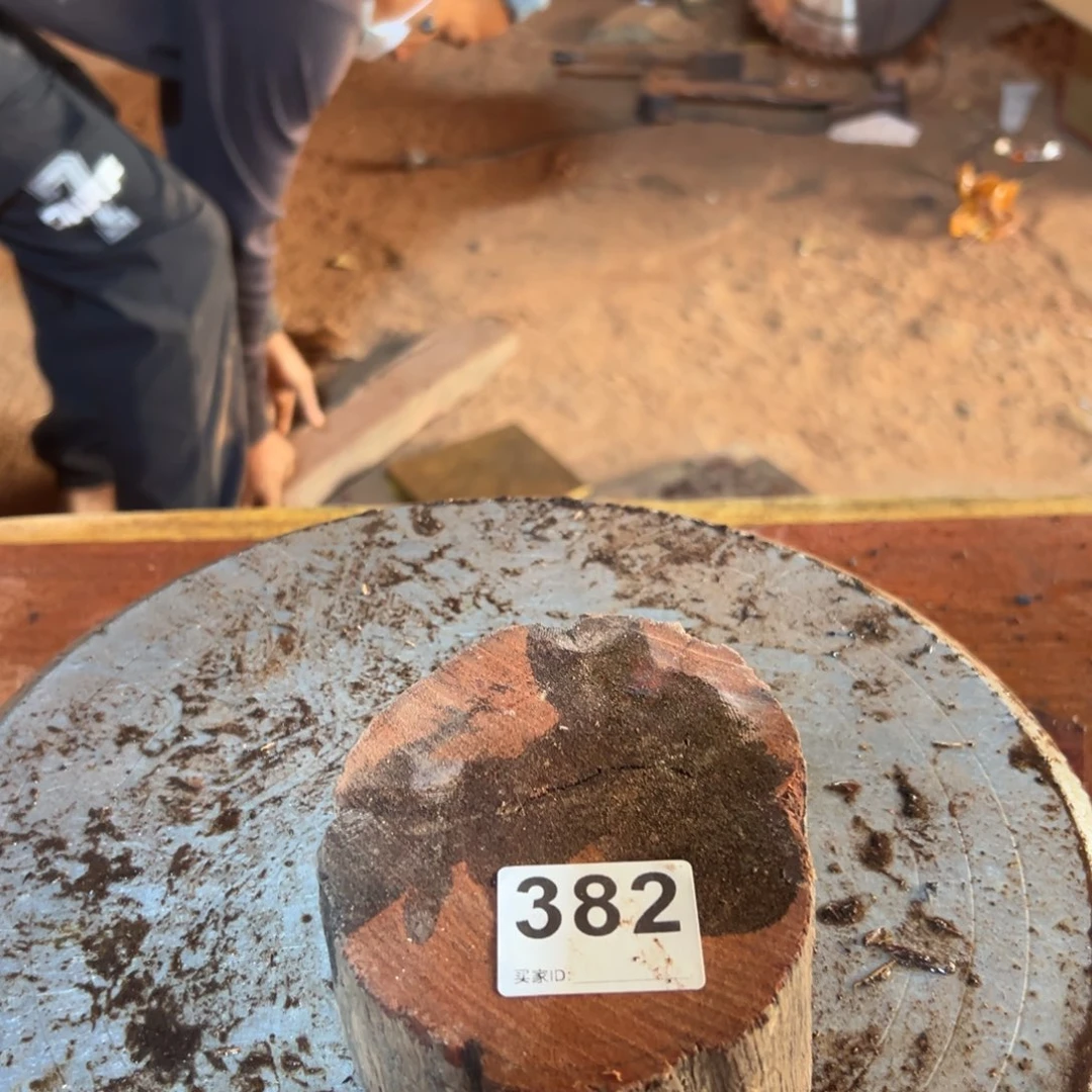 大果紫檀（缅甸花梨）