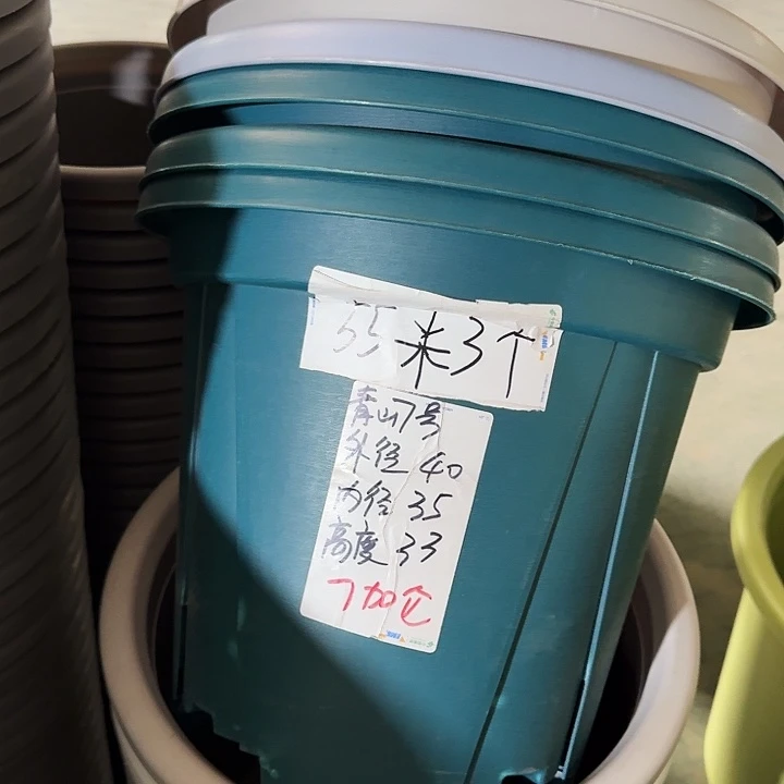 青山7#军绿5个无托
