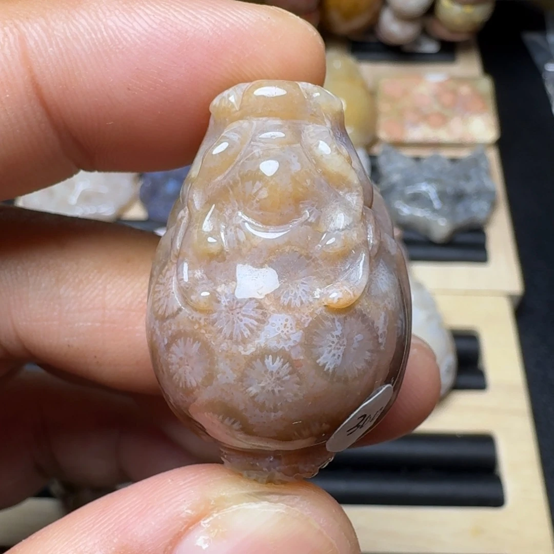 未镶嵌纯天然色有机玉石保真色硅化玉