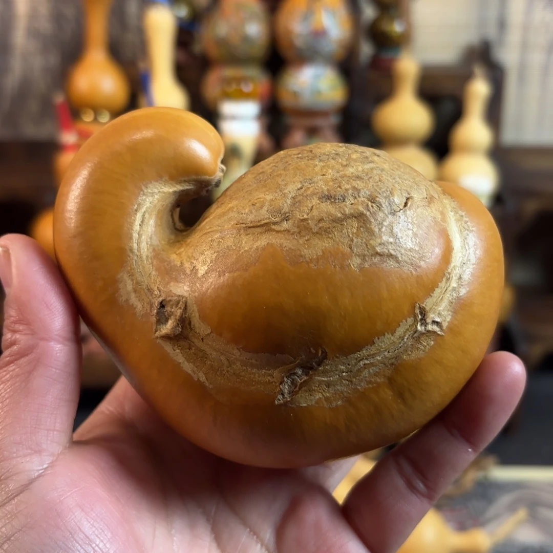 坚***念元宝老皮腰子相当哇塞