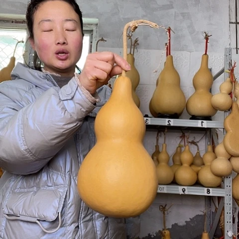 葱*天然植物葫芦文玩