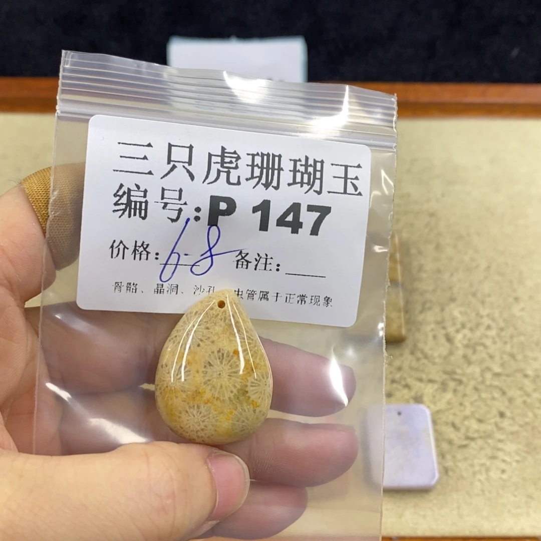 硅化珊瑚（珊瑚玉）1未镶嵌乐**?