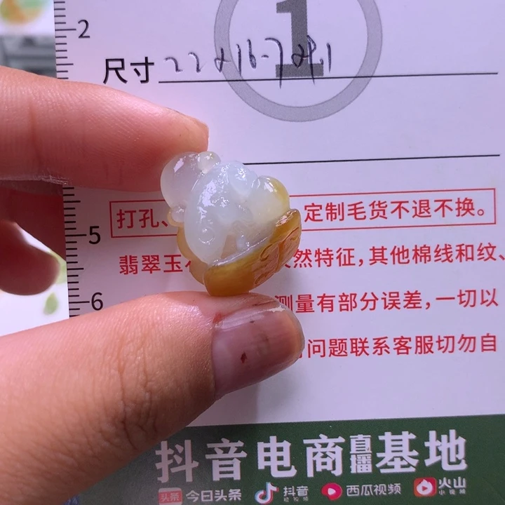 踏***蜂定制翡翠未镶嵌蜥蜴