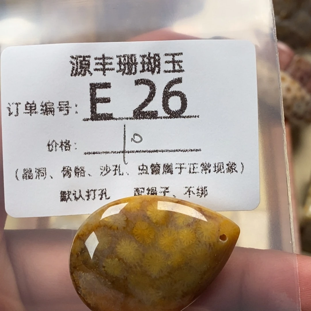 余***香硅化玉未镶嵌颈饰