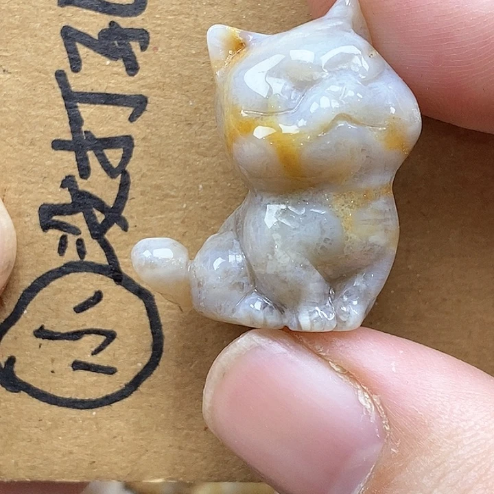 颈饰未镶嵌硅化珊瑚（珊瑚玉）