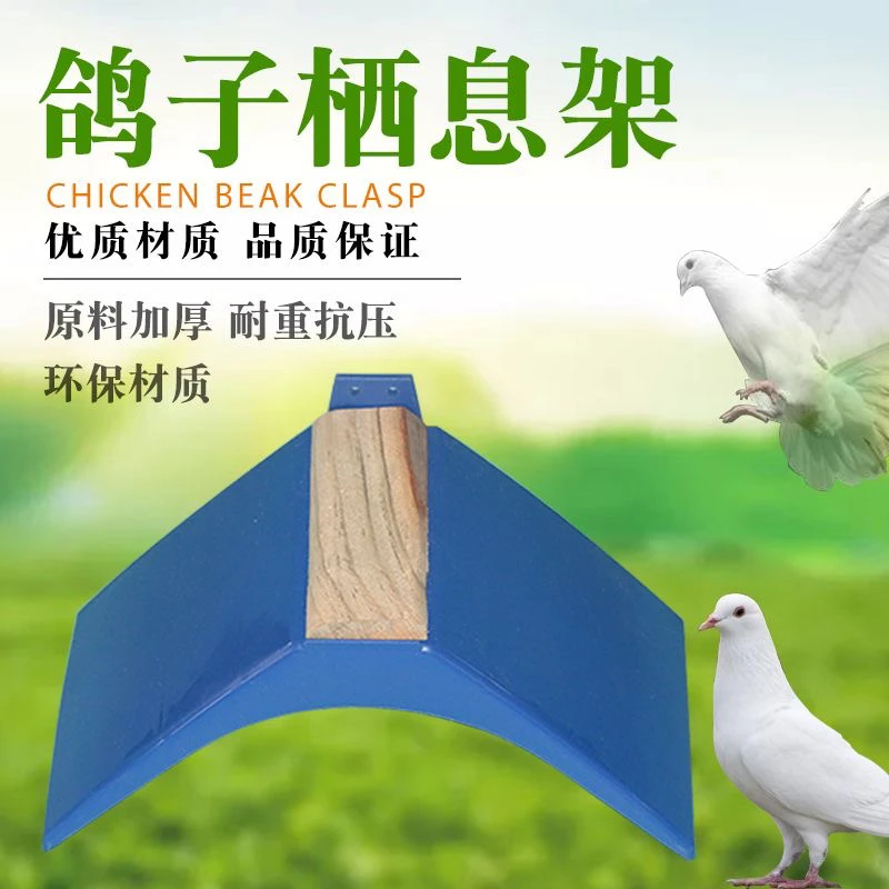 鸽子用品用具鸽子站架栖息架信鸽舒适休息架