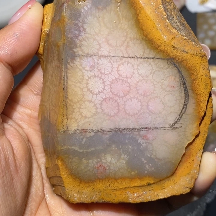 【闪购商品】未镶嵌珊瑚玉硅化玉