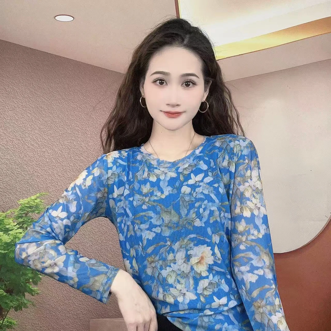 2025秋季新款长袖圆领肌肤纱时尚显瘦印花T恤上衣A381