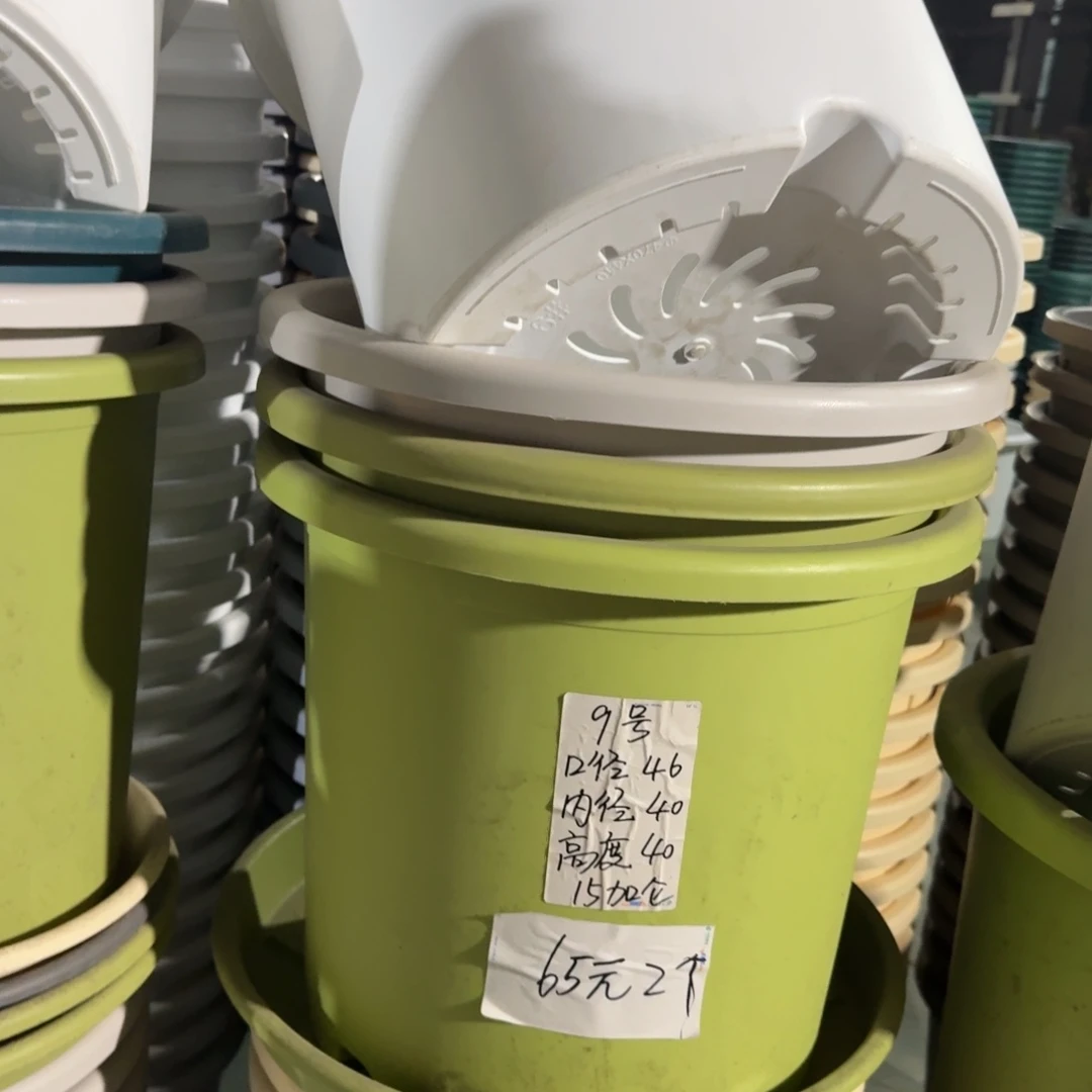 四季9#口径46无拖果绿3个