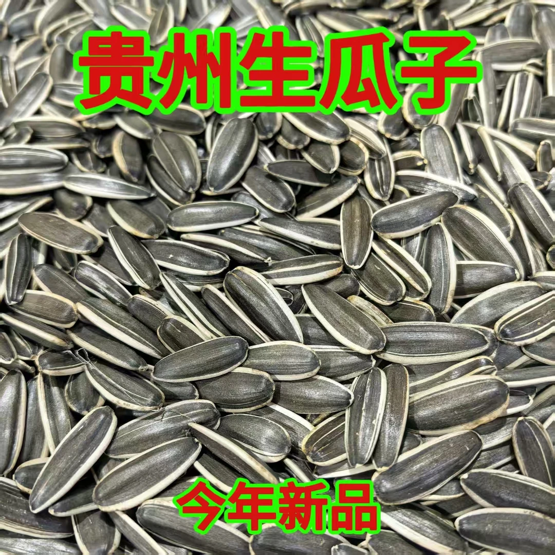 贵州原味生瓜子大颗粒饱满
