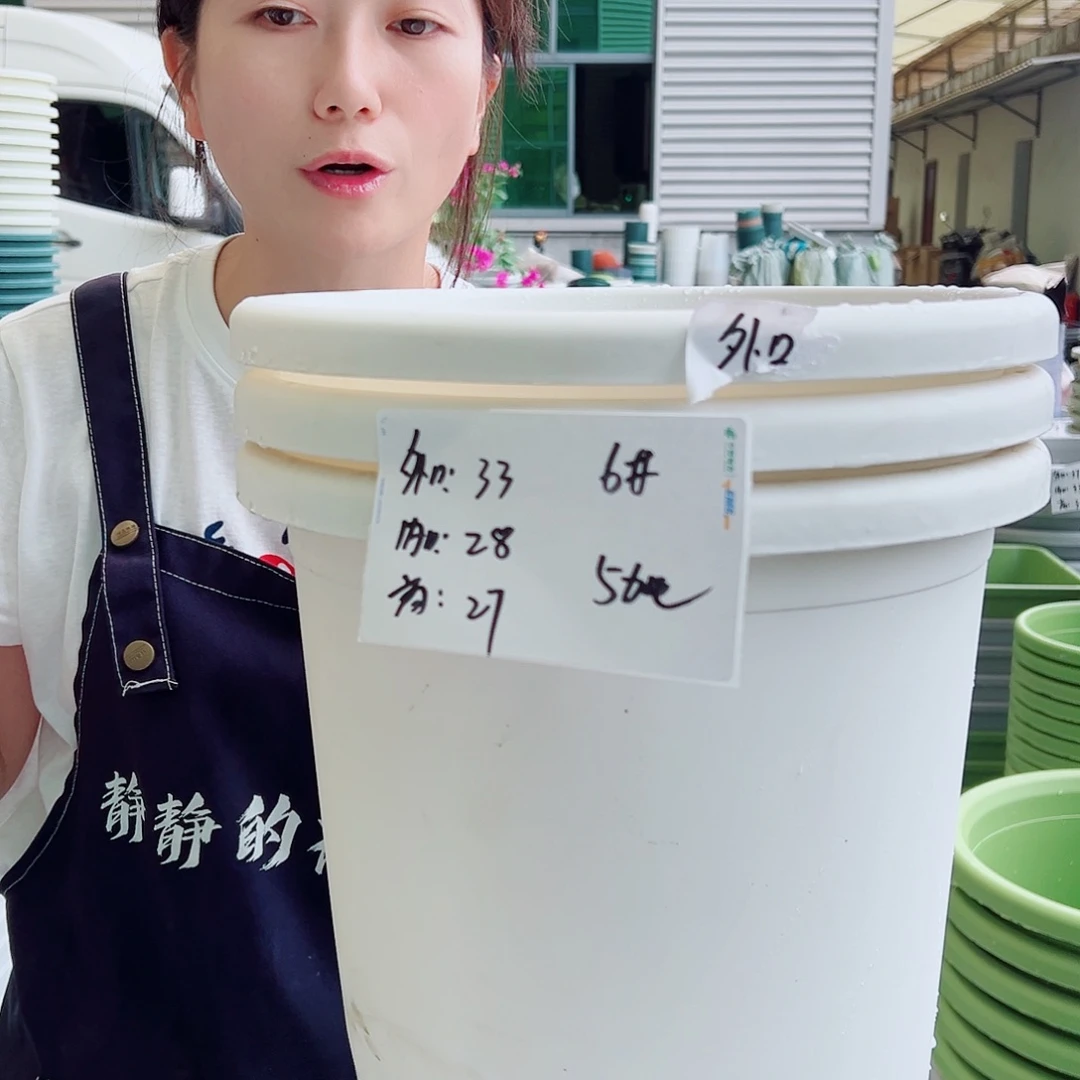 四季盆6#白色5个无托