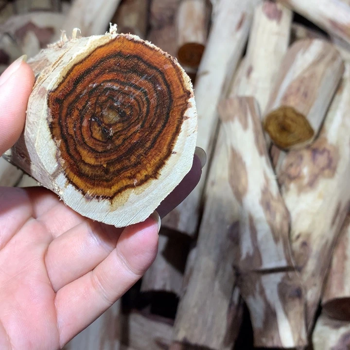 花梨木类海南黄花梨