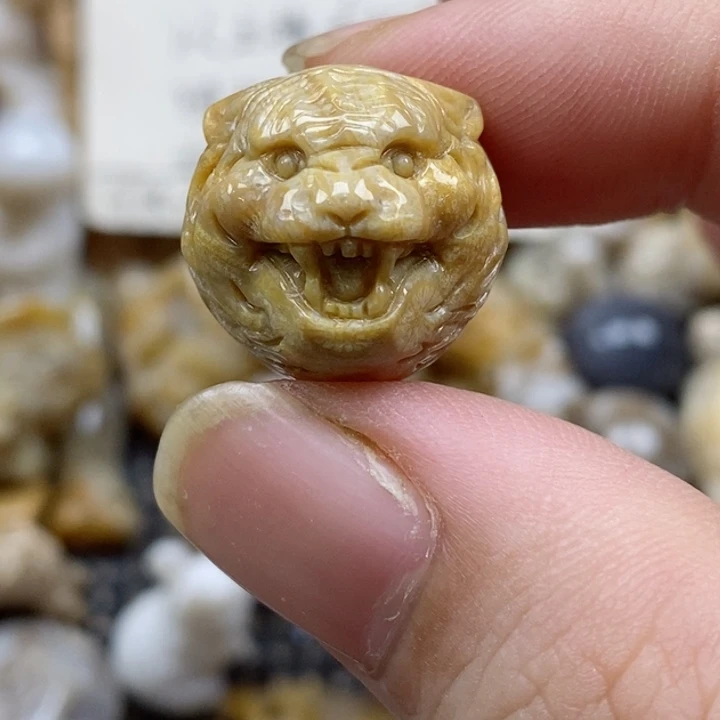 颈饰未镶嵌硅化珊瑚（珊瑚玉）通孔