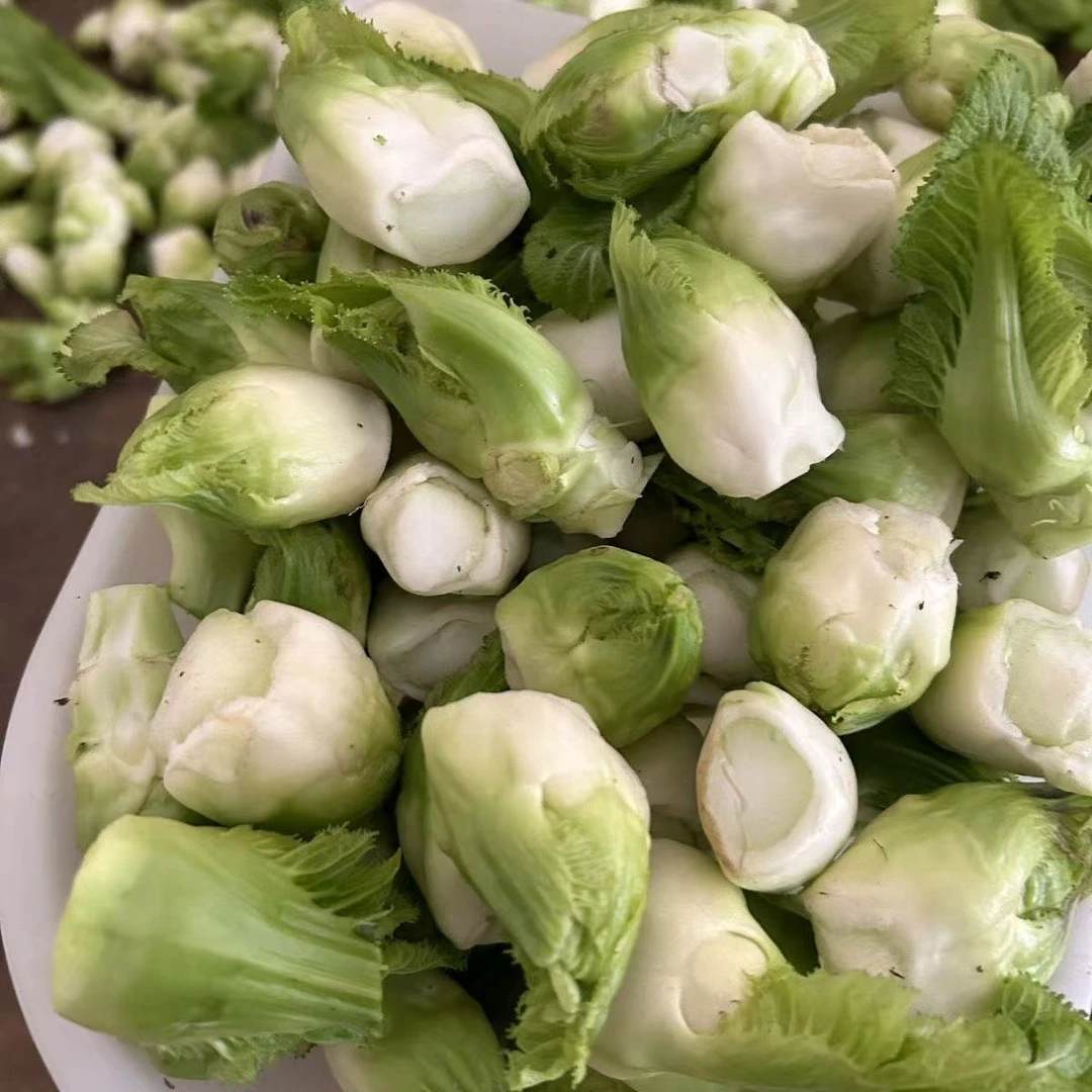 四川儿仔拇指儿菜鸡蛋到拇指大小专做泡菜颗颗经典