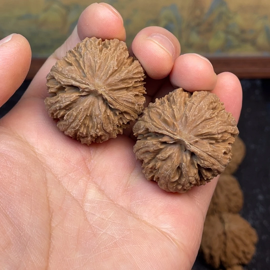 核桃2号链接222222