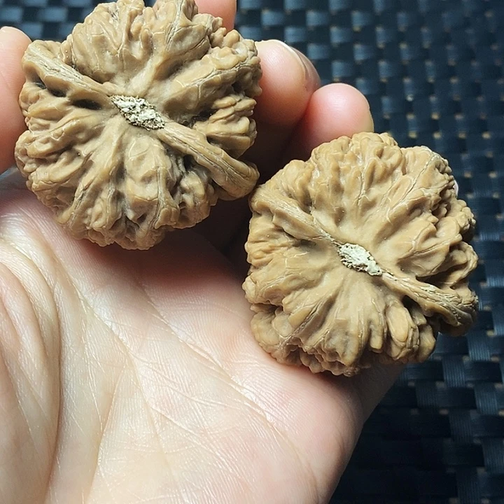 文玩核桃吊坠粗筋