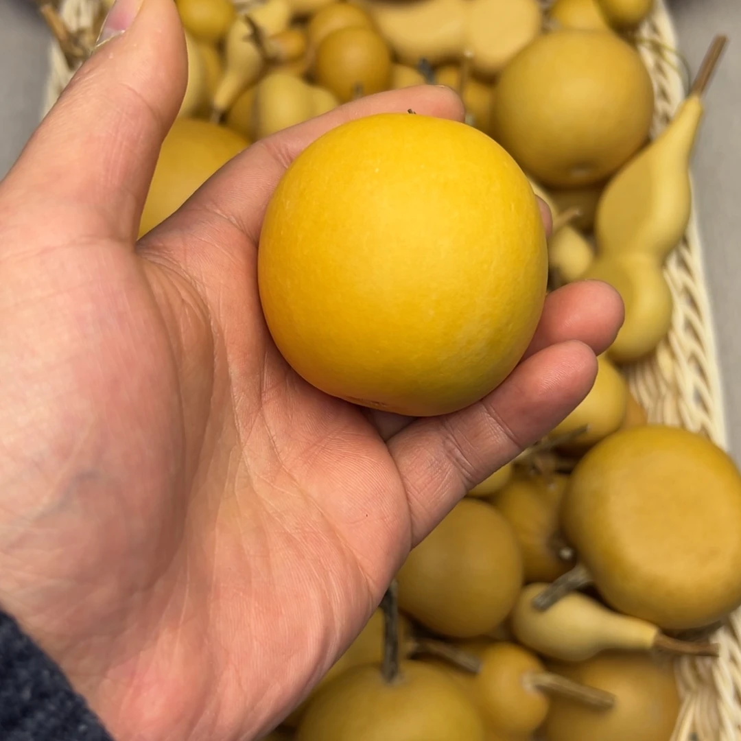 1葫芦无客服售后介意勿拍