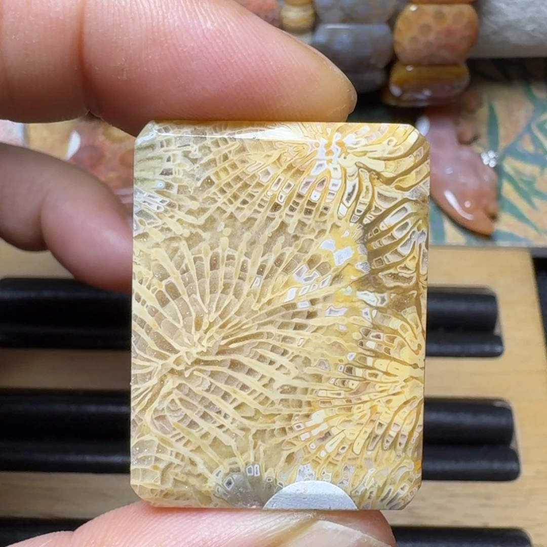 硅化玉纯天然有机玉石 保真色未镶嵌