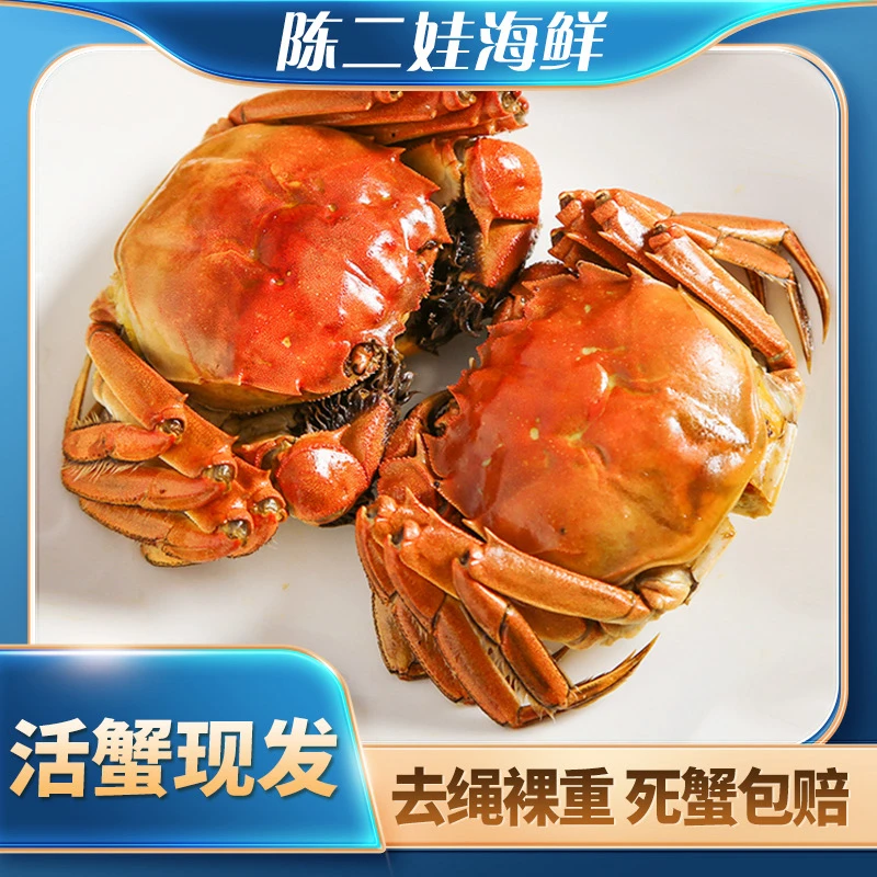 （鲜活套餐）3两母蟹6只装（2.8-3.0）