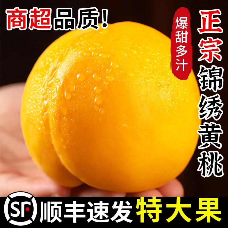 【今拍明到】山东蒙阴锦绣黄桃头茬新鲜爆甜桃子黄桃整箱顺丰包邮当季新鲜水果桃子山东省山东省山东省
