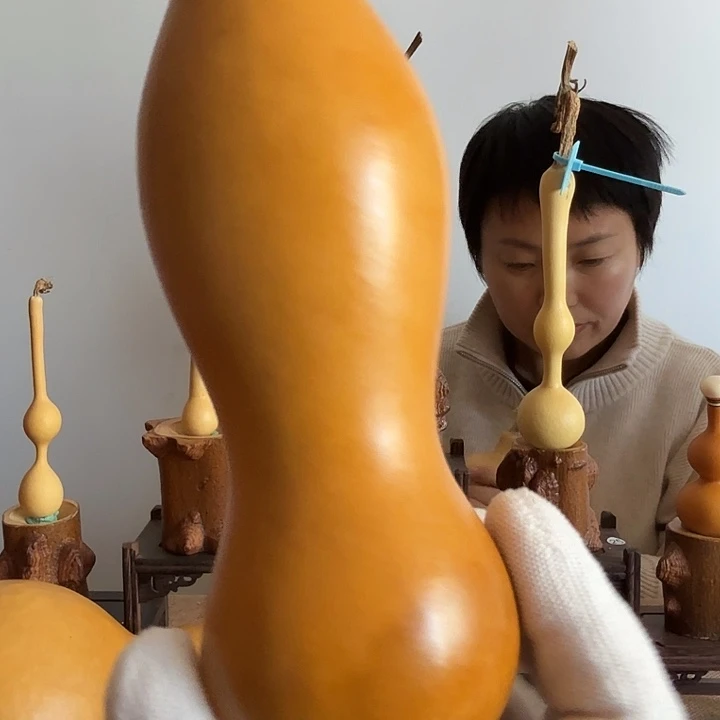 一***能大叶紫檀（黑酸枝木类）