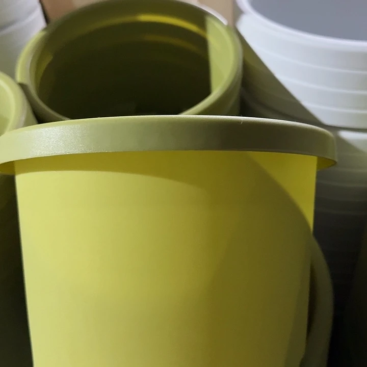 球根3号果绿无托5个