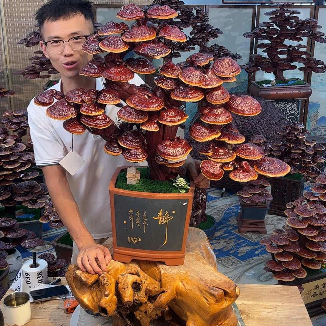 无花朵88888888888