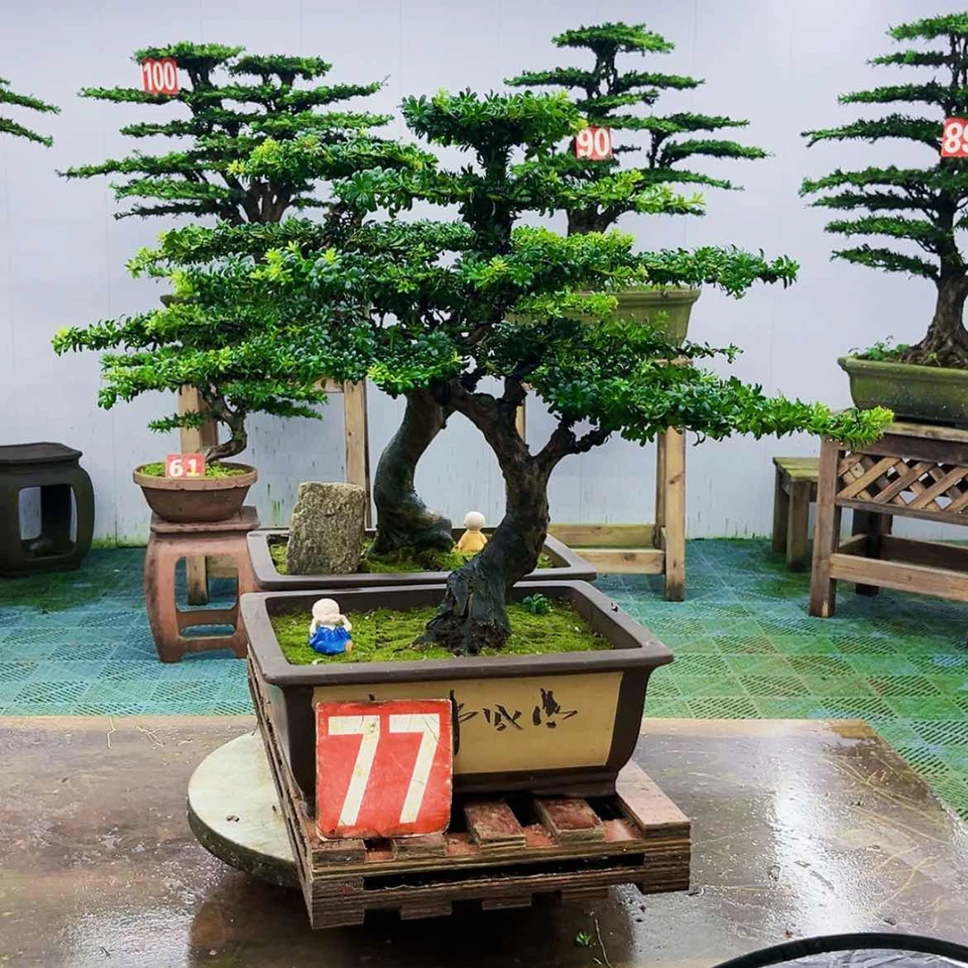 【闪购商品】无花朵拼****妈
