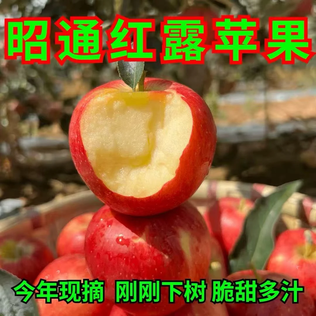 云南昭通冰糖心丑苹果水果正宗新鲜采摘脆甜多汁脆甜无酸决赛