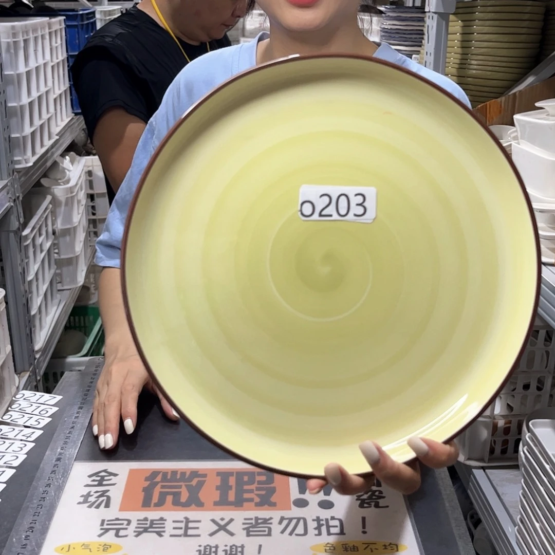 瓷片203                  2个