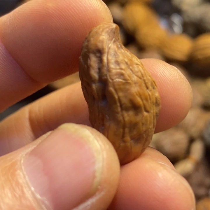 文玩核桃吊坠东北特产201