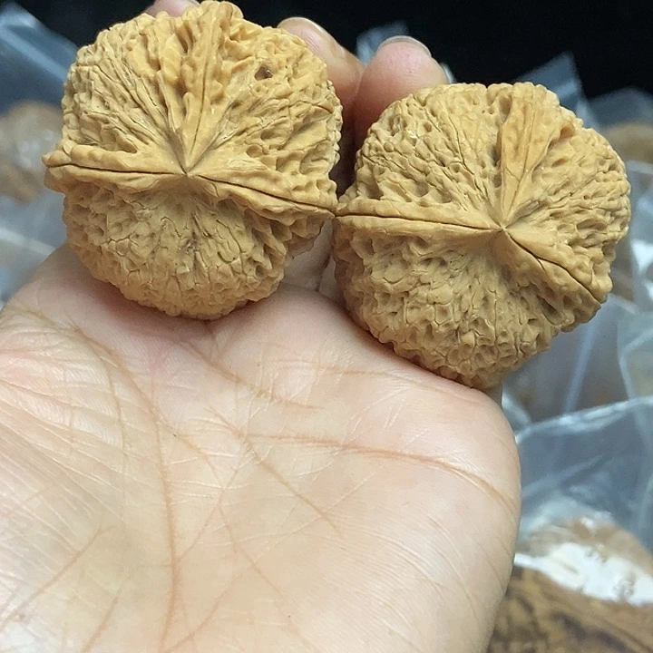 木质类云南铁核桃基地81