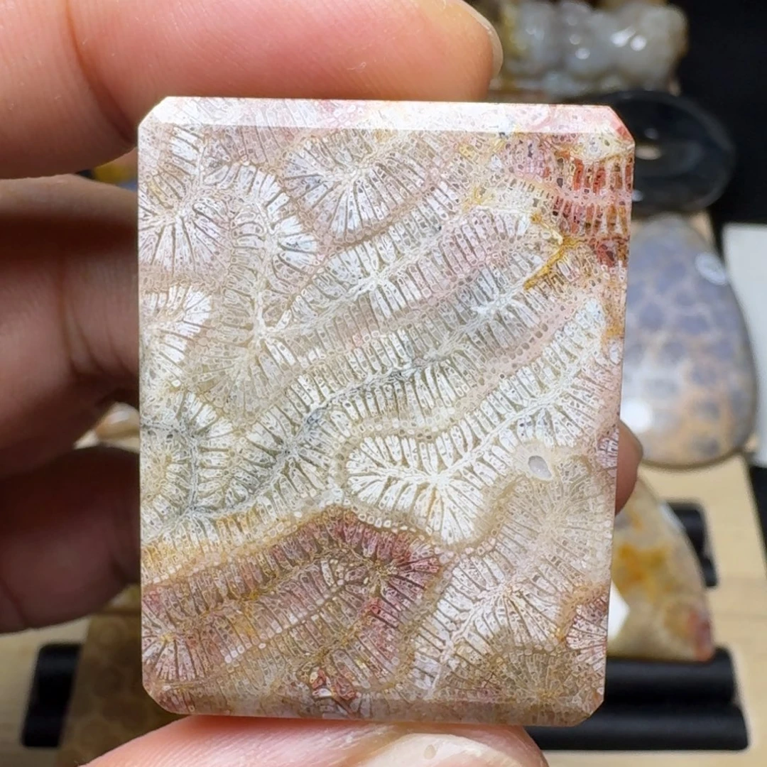 硅化玉未镶嵌纯天然色有机玉石保真色