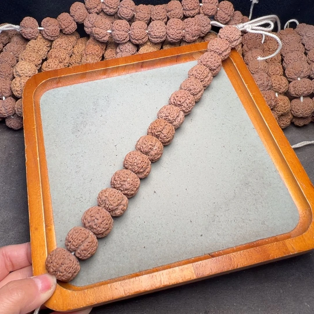 菩提22号金刚菩提龙骨梅花22定制