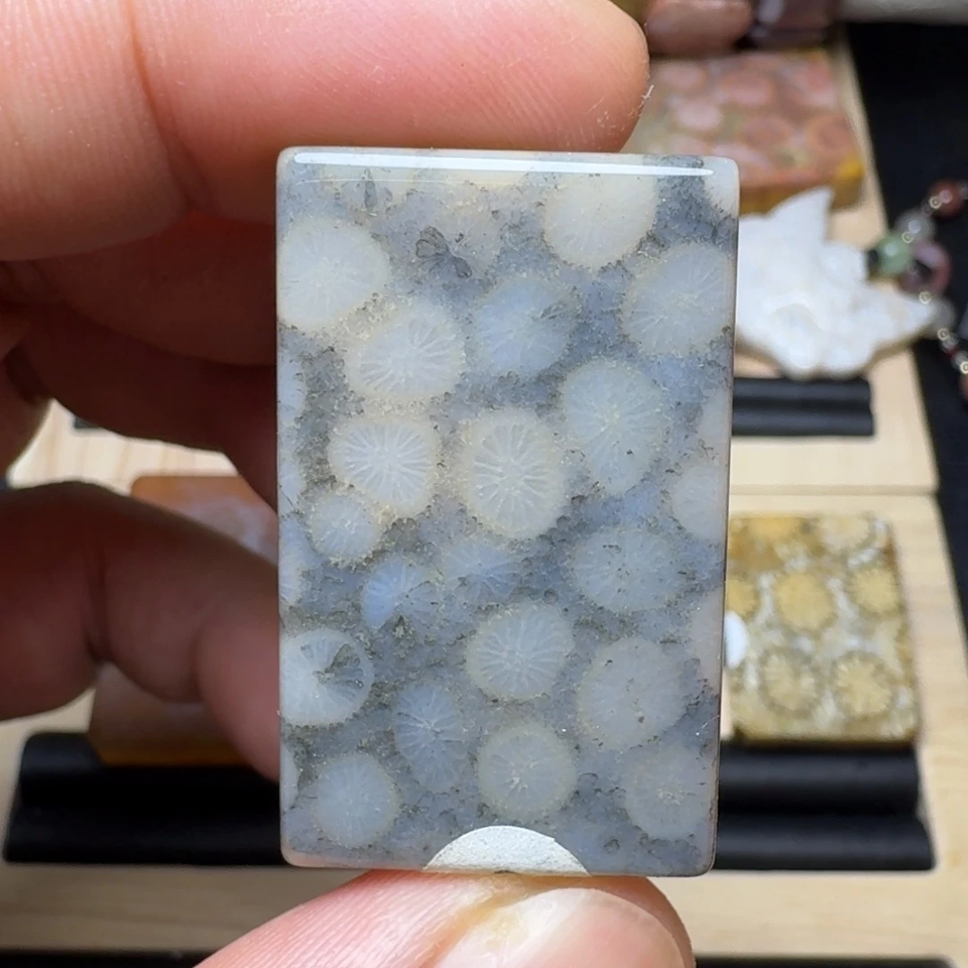 未镶嵌纯天然色有机玉石保真色硅化玉