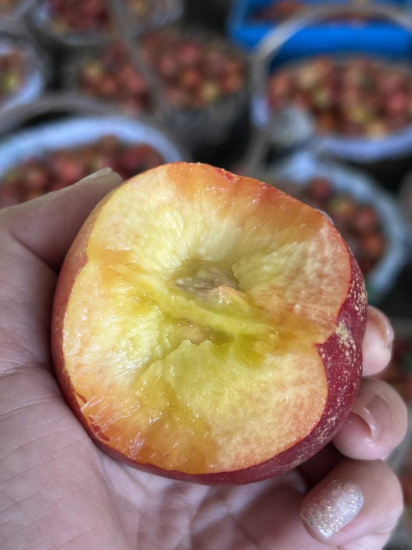 大连产地直发麻脸油桃红皮黄肉油桃新鲜采摘夏日必备新鲜黄桃