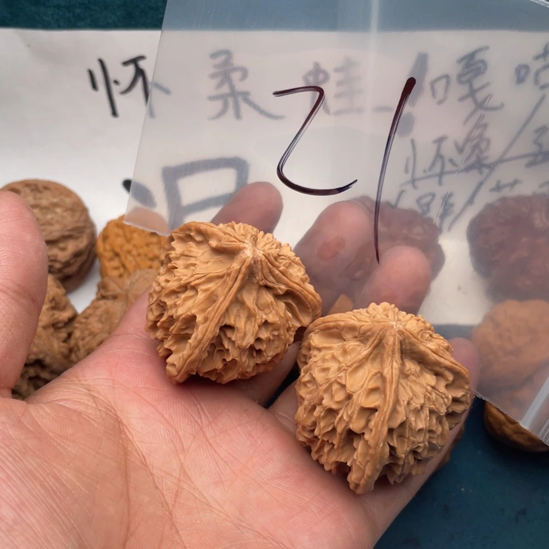核桃W93637946494977979474