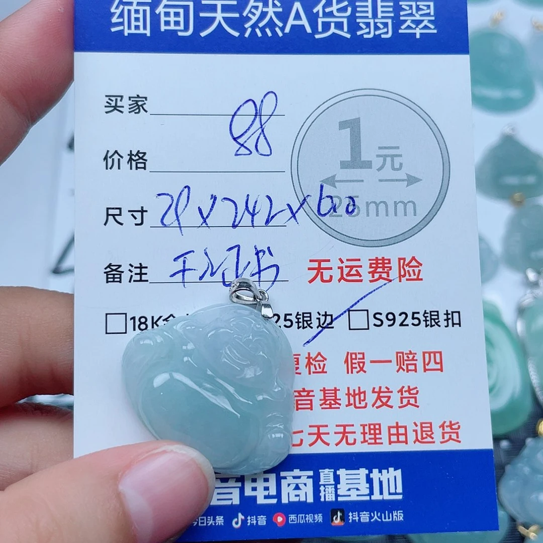 翡翠银S925镶嵌颈饰翡翠