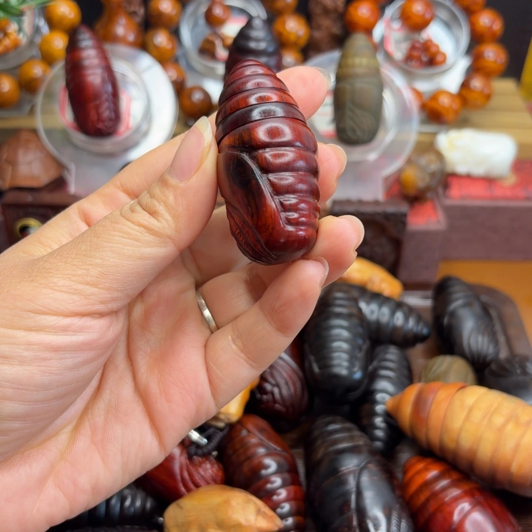 领***5大叶紫檀（黑酸枝木类）紫檀木蚕蛹手把件高油高密小