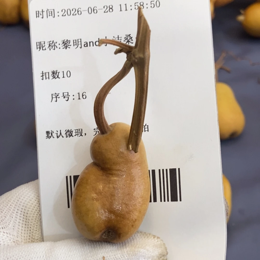黎****桑哈哈哈哈哈哈哈哈