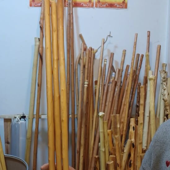 星***沉秦岭石山红荀子，牛筋木