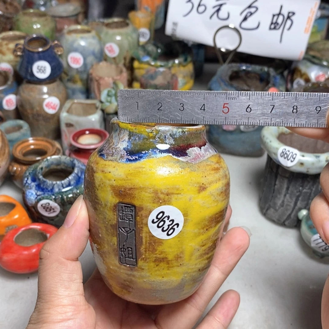 拍3送一个小礼物