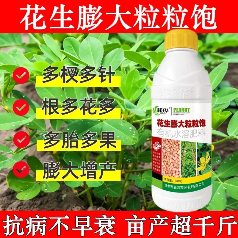 花生膨大粒粒饱增产肥料绿叶生根胎多果多花多花生专用微生物菌剂