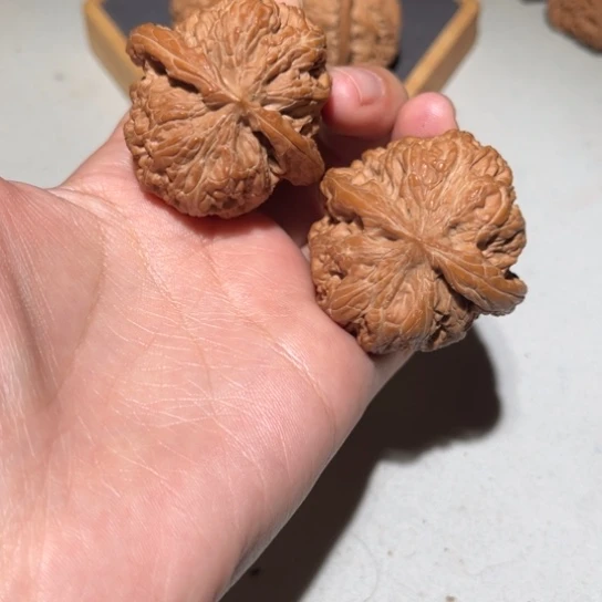 把件文玩核桃将军膀