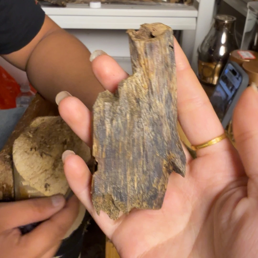 沉香奇楠沉香虫漏原料15克