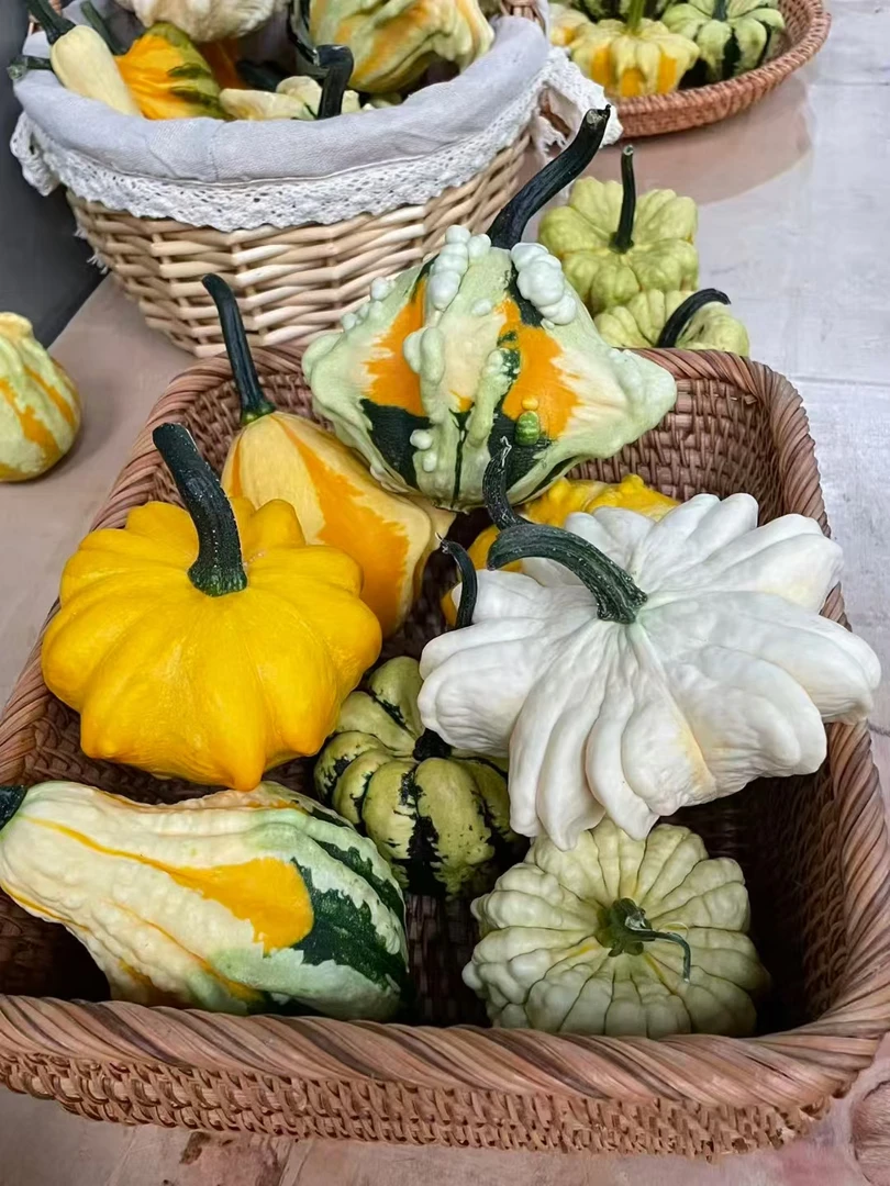 天然原色墨西哥七彩疙瘩葫芦手把件盘玩佳品